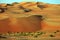 Amazing sand dune formations in Liwa oasis, United Arab Emirates