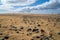 Amazing sand dunes during sunny and windy day in the Natural Reserve of Dunes of Maspaloma in Gran Canaria