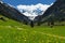 Amazing scenery of alpine valley in springtime with snow capped mountains under cloudy sky and lovely flowers in the foreground