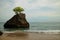 Amazing seascape. Beach during daylight. Rock with tree in the ocean. Waves captured with slow shutter speed. Long exposure with