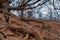 Amazing shapesand colors near an old abandoned bauxite mine in H