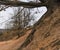 Amazing shapesand colors near an old abandoned bauxite mine in H