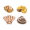 Amazing shiny curved sea shells isolated illustrations set