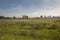 Amazing shot of a green country field with blue sky and white fog at background