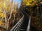 Amazing shot of a stairway during autumn in Larvik, Norway