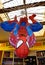 The amazing Spider-Man life size statue hanging from the ceiling of Panini Comic Store. Bologna,