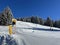 Amazing sport-recreational snowy winter tracks for skiing and snowboarding in the tourist resorts of Valbella and Lenzerheide
