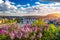 Amazing spring cityscape, Vltava river and old city center with colorful lilac blooming in Letna park, Prague, Czechia. Blooming