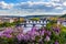 Amazing spring cityscape, Vltava river and old city center with colorful lilac blooming in Letna park, Prague, Czechia. Blooming