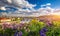 Amazing spring cityscape, Vltava river and old city center with colorful lilac blooming in Letna park, Prague, Czechia. Blooming