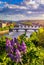 Amazing spring cityscape, Vltava river and old city center with colorful lilac blooming in Letna park, Prague, Czechia. Blooming