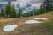 Amazing spring landscape with green pines in Julian Alps, Slovenia