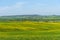 Amazing spring view of medieval small town with cypress trees and colorful spring flowers in Tuscany, Italy. Typical Tuscany