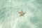 Amazing starfish in the ocean, wildlife of tropical seas, nature outdoor background with copy space, summer holiday concept