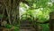 Amazing stone staircase, fence, tree