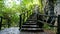 Amazing stone staircase, fence, tree