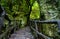 Amazing stone staircase, fence, tree