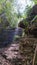 Amazing sunbeans in the brazilian forest. Amazing view and lush plants