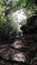 Amazing sunbeans in the brazilian forest. Amazing view and lush plants