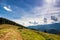 Amazing sunny landscape with pine tree highland forest