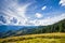 Amazing sunny landscape with pine tree highland forest