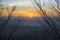 Amazing sunrise view with branch silhouette