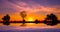 Amazing sunset and sunrise.Panorama silhouette tree on africa.Dark tree on open field dramatic sunrise.Safari theme.