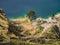 Amazing tree along Quilotoa lagoon shoreline, volcanic crater lake in Ecuador