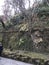 Amazing tree growing out of a stonewall in Has-dera shrine, Kanagawa prefecture in Japan