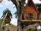 Amazing treehouses in a private area . Living on the tree concept. Alternative living.