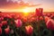 Amazing tulips blooming in the tulip field against the background.GenerativeAI.