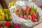 Amazing Tulips in february in Verona mid february