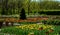 Amazing   tulips field in Gorky Park Moscow -  Central park for walking  and beautiful naturegardening