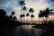 Amazing twilight on the sea beach in subtropics with palm silhouettes. Travel.