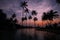 Amazing twilight on the sea beach in subtropics with palm silhouettes. Travel.