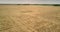 Amazing upper view immense farmland covered with wheat