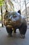 Amazing vertical shot of a big cat sculpture in Barcelona, Spain