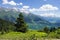 Amazing vibrant mountain landscape in Georgia, Svaneti. Green grass on hills, snowy mountains and blue clear sky on summer day