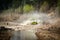 Amazing view of active ATV and UTV driving in mud water