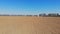 Amazing view on an agricultural brown field.