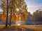 Amazing view of autumn park with beautiful yellow birch trees in the rays of the sun