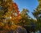 Amazing view of autumn park with sunbeams shine through beautiful yellow and red crowns of maple trees