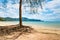 Amazing view of beautiful beach with tree in the foreground. Location: Krabi, Thailand, Andaman Sea. Artistic picture. Beauty