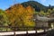 Amazing view of Church of the Assumption, river and Autumn tree in town of Shiroka Laka, Bulgaria