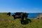 Amazing view of cows grazing on the cliffs by the sea