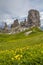 Amazing view of `The Five Pillars` Italian: Cinque Torri  with blooming meadows: fresh green grass and yellow flowers, Dolomites