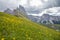 Amazing view of `The Five Pillars` Italian: Cinque Torri  with blooming meadows: fresh green grass and yellow flowers, Dolomites