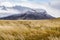 Amazing view of golden yellow grass with background of nature mountains peak with cloud in autumn, Torres del Paine national park