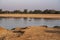 Amazing view of a group of hippos resting in an African river