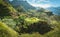 Amazing view of high mountains covered with lush green vegetation. Picturesque banana and sugarcane plantations on the